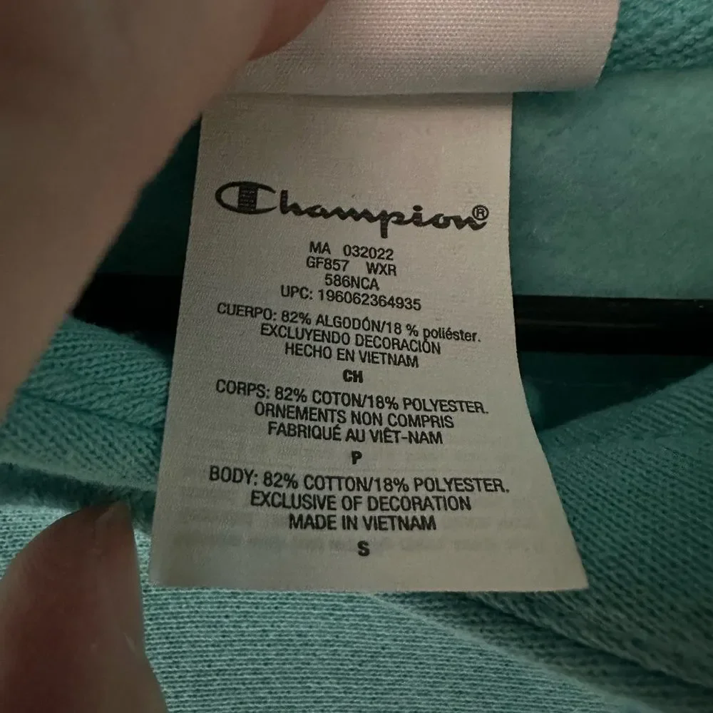 Champion heavyweight Hoodie Logo on front NWT - Picture 6 of 9